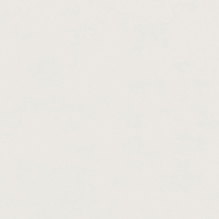 Noble Supreme White